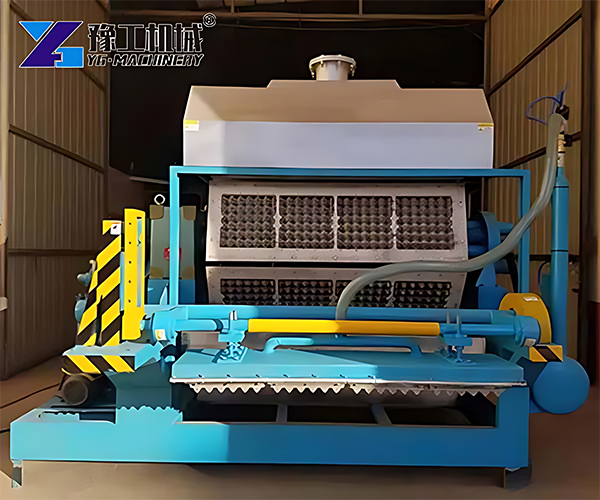 Egg Carton Machine for sale