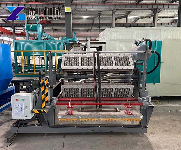 Egg Tray Forming Machine Factory